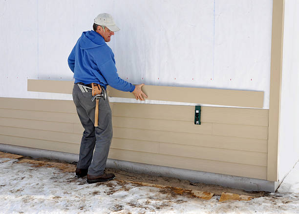 Best Vinyl Siding Installation  in Lan, MI
